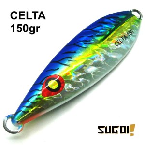 CELTA_27