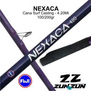 NEXACA1