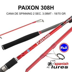 PAIXON7