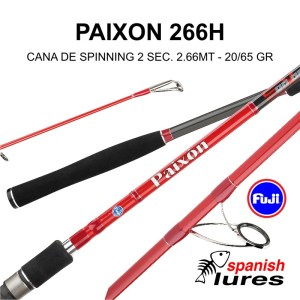 PAIXON_6