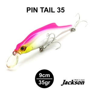PINTAIL_10