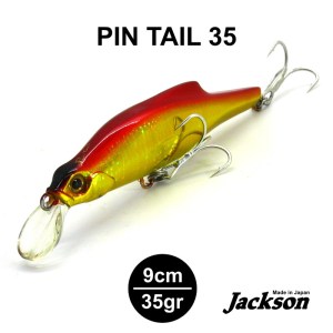 PINTAIL_4