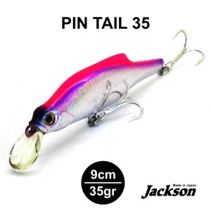 PINTAIL_6