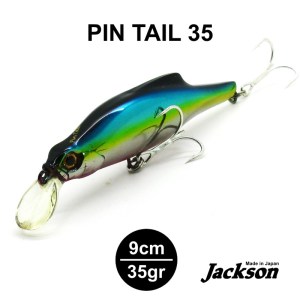 PINTAIL_7