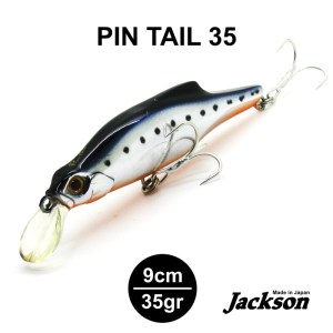 PINTAIL_8
