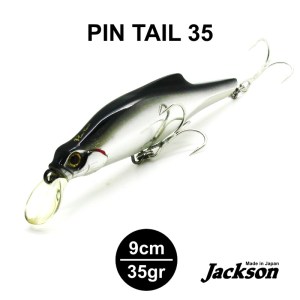 PINTAIL_9