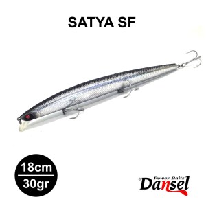SATYA ANA46
