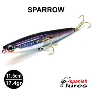 SPARROW_1