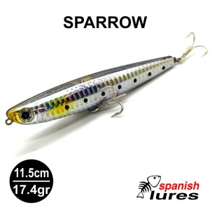 SPARROW_3