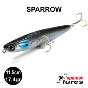 SPARROW_4
