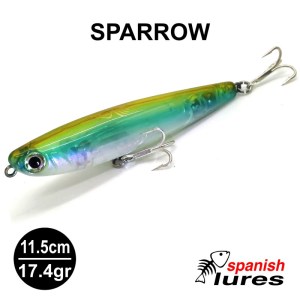 SPARROW_6
