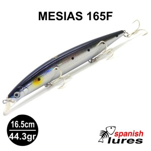 mesias_165_F_BLACK_SARDINE