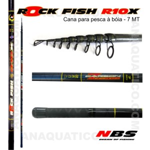 rock_fish_r10x__7_MT4