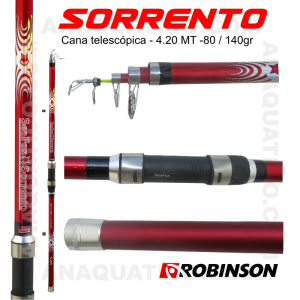 CANA ROBINSON SORRENTO 4.20MT - 80/140GR